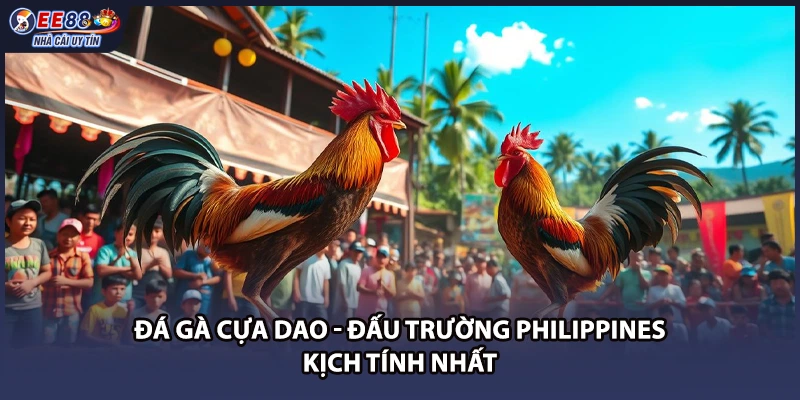 Đá Gà Cựa Dao - Đấu Trường Philippines Kịch Tính Nhất