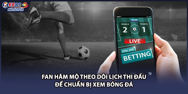 Fan hâm mộ theo dõi lịch thi đấu để chuẩn bị xem bóng đá