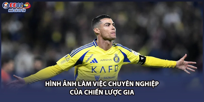 Hình ảnh làm việc chuyên nghiệp của chiến lược gia