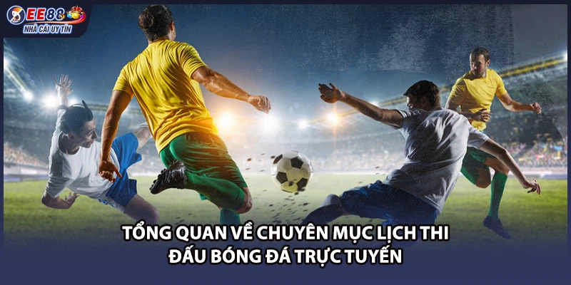 Tổng quan về chuyên mục lịch thi đấu bóng đá trực tuyến