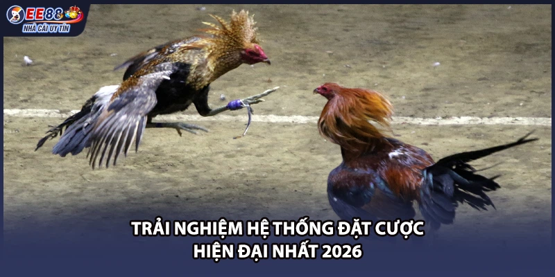 Trải nghiệm hệ thống đặt cược hiện đại nhất 2026